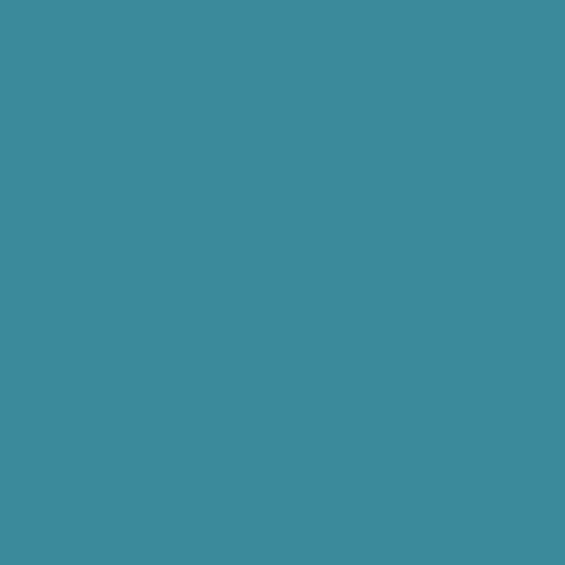 B2983CVS