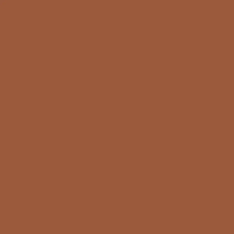DS 1013BS 264925